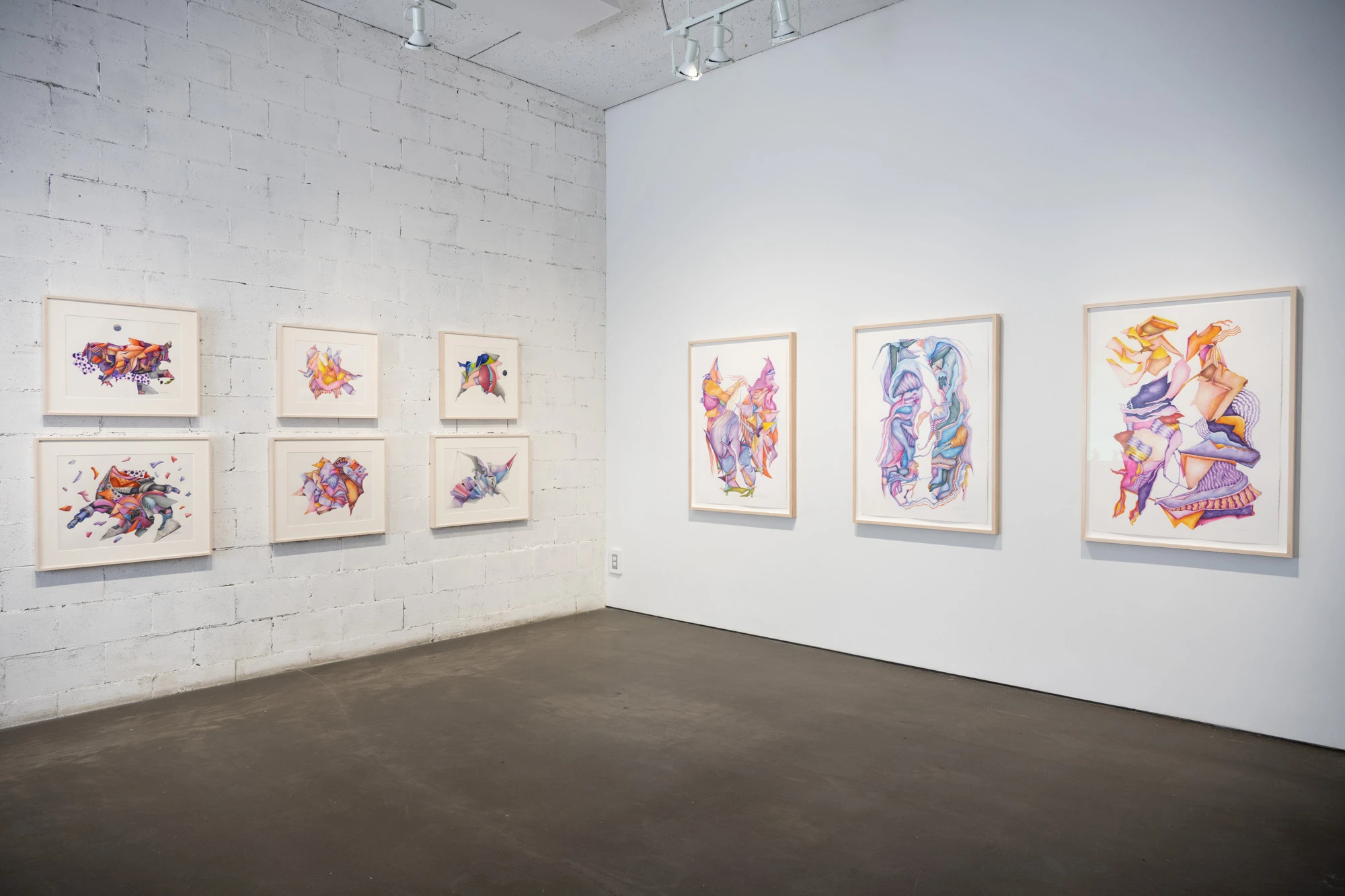 Espèce en voie d'apparition - expo 1 - 003