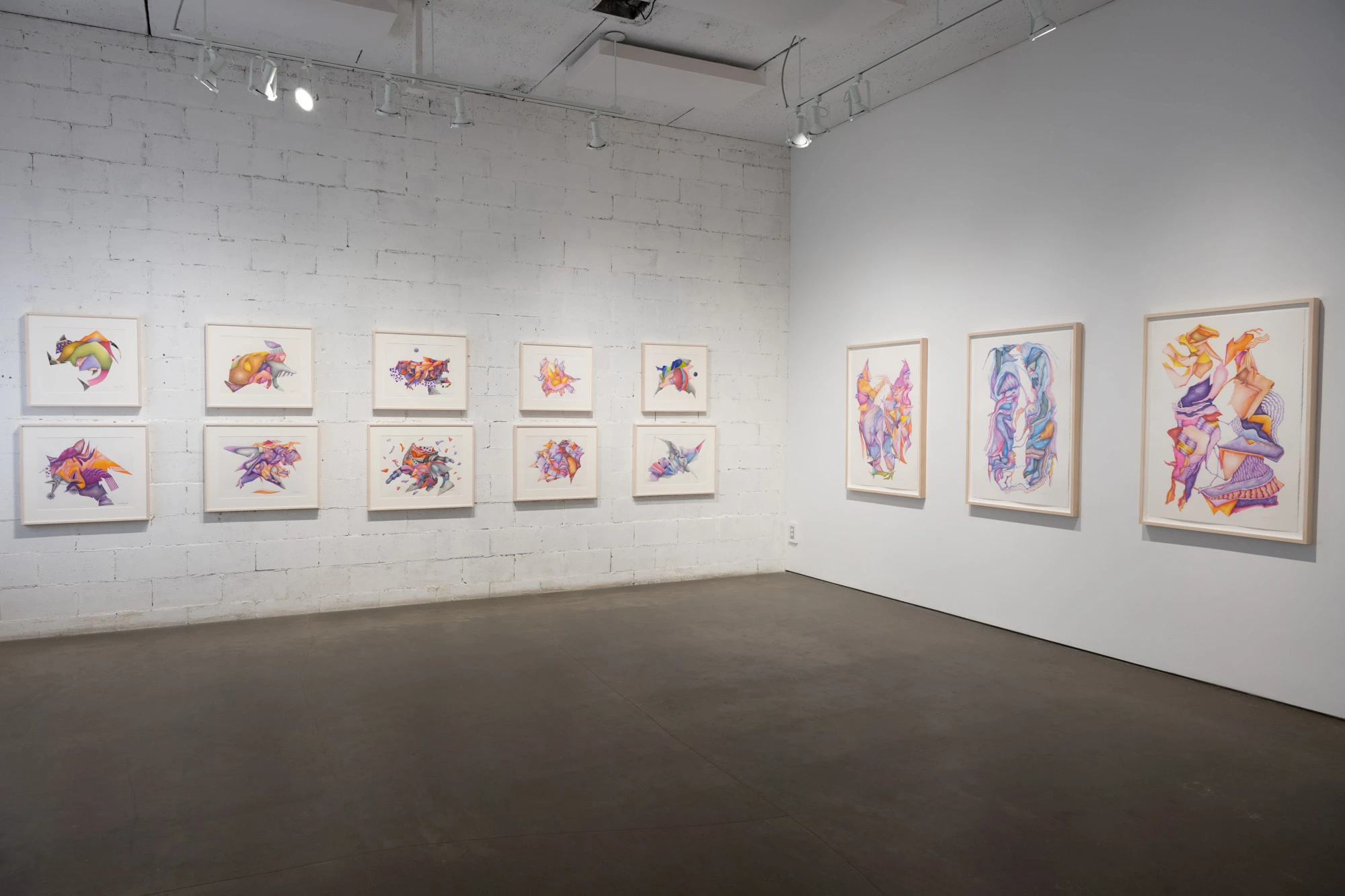 Espèce en voie d'apparition - expo 1 - 005