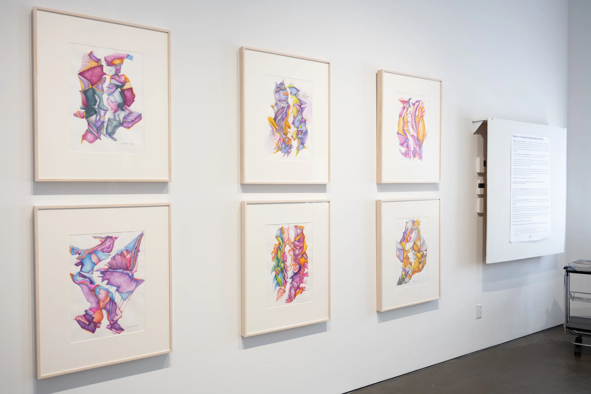 Espèce en voie d'apparition - expo 1 - 008