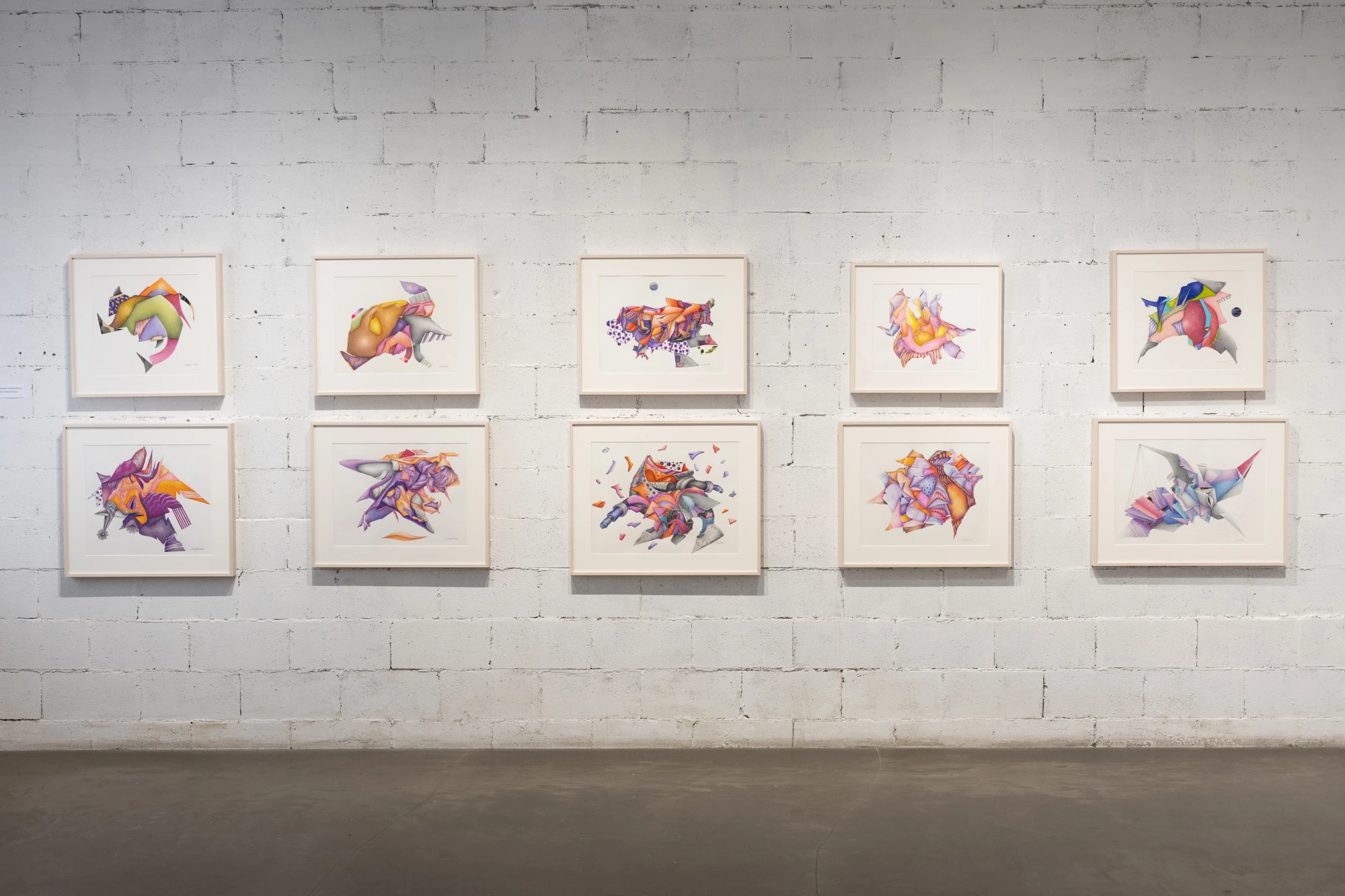 Espèce en voie d'apparition - expo 1 - 009