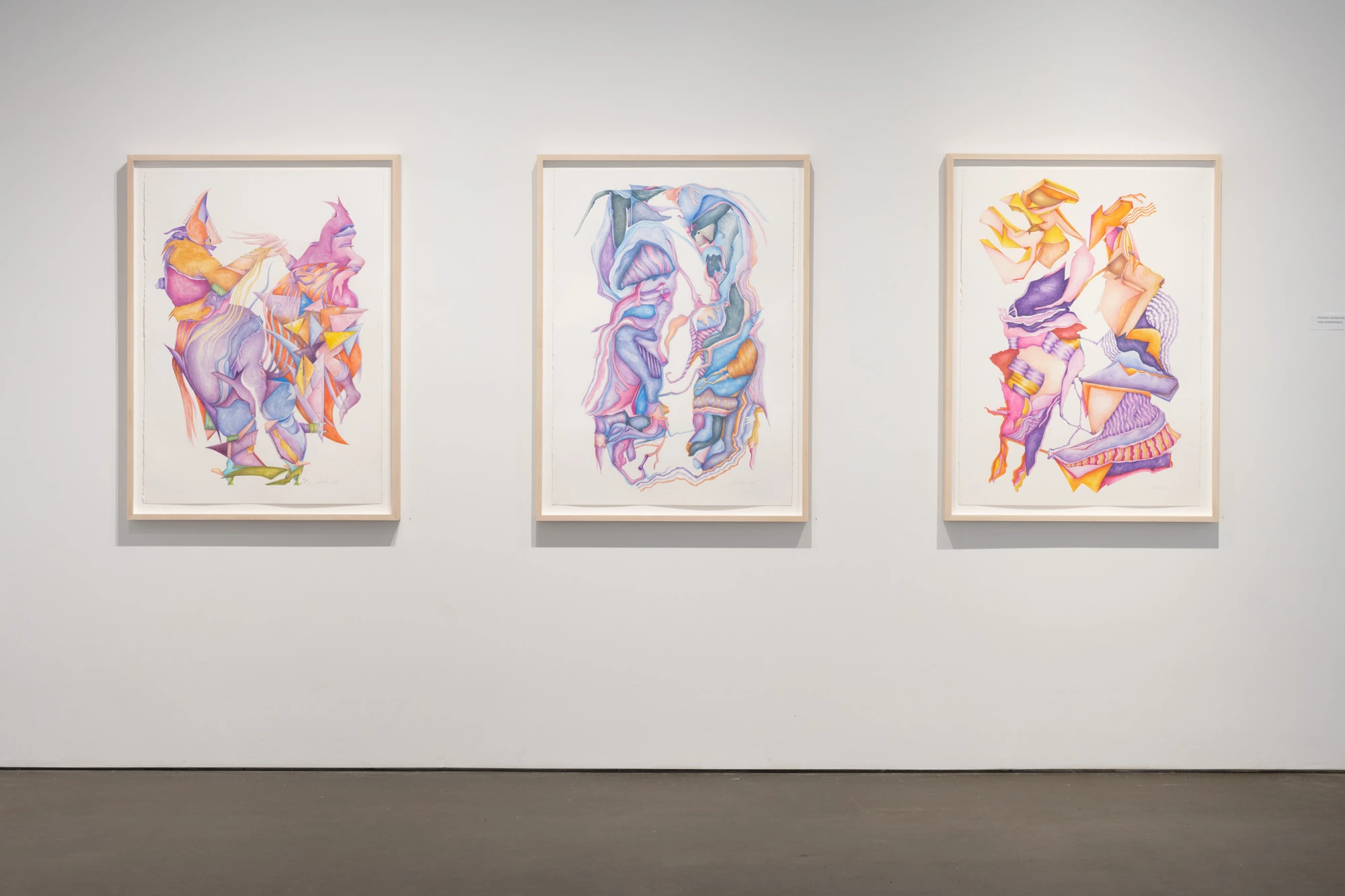 Espèce en voie d'apparition - expo 1 - 011