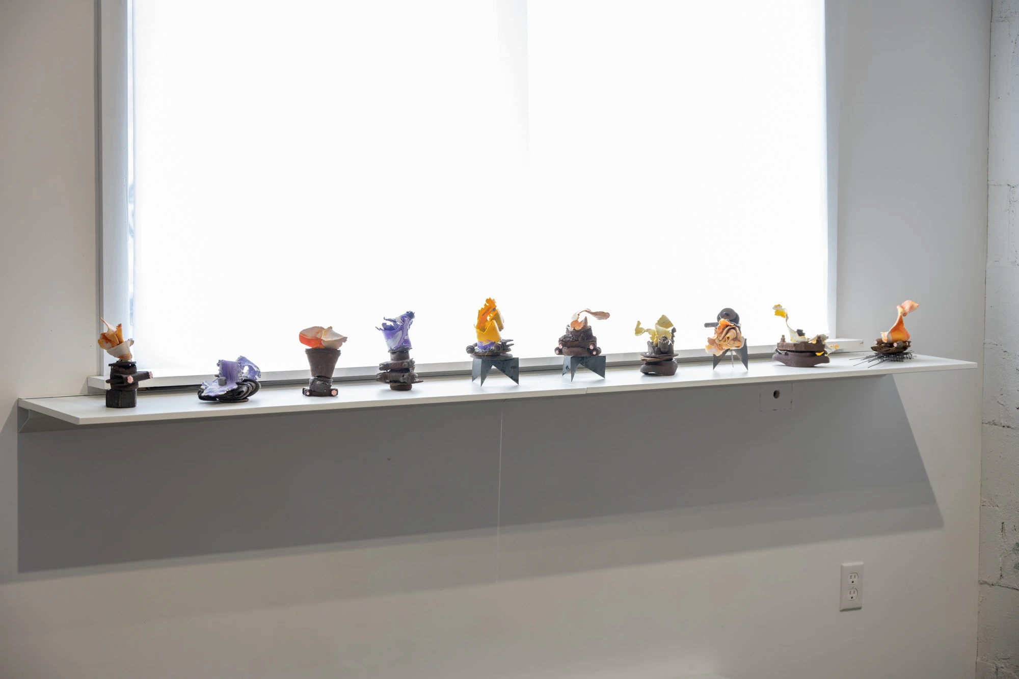 Espèce en voie d'apparition - expo 1 - 012