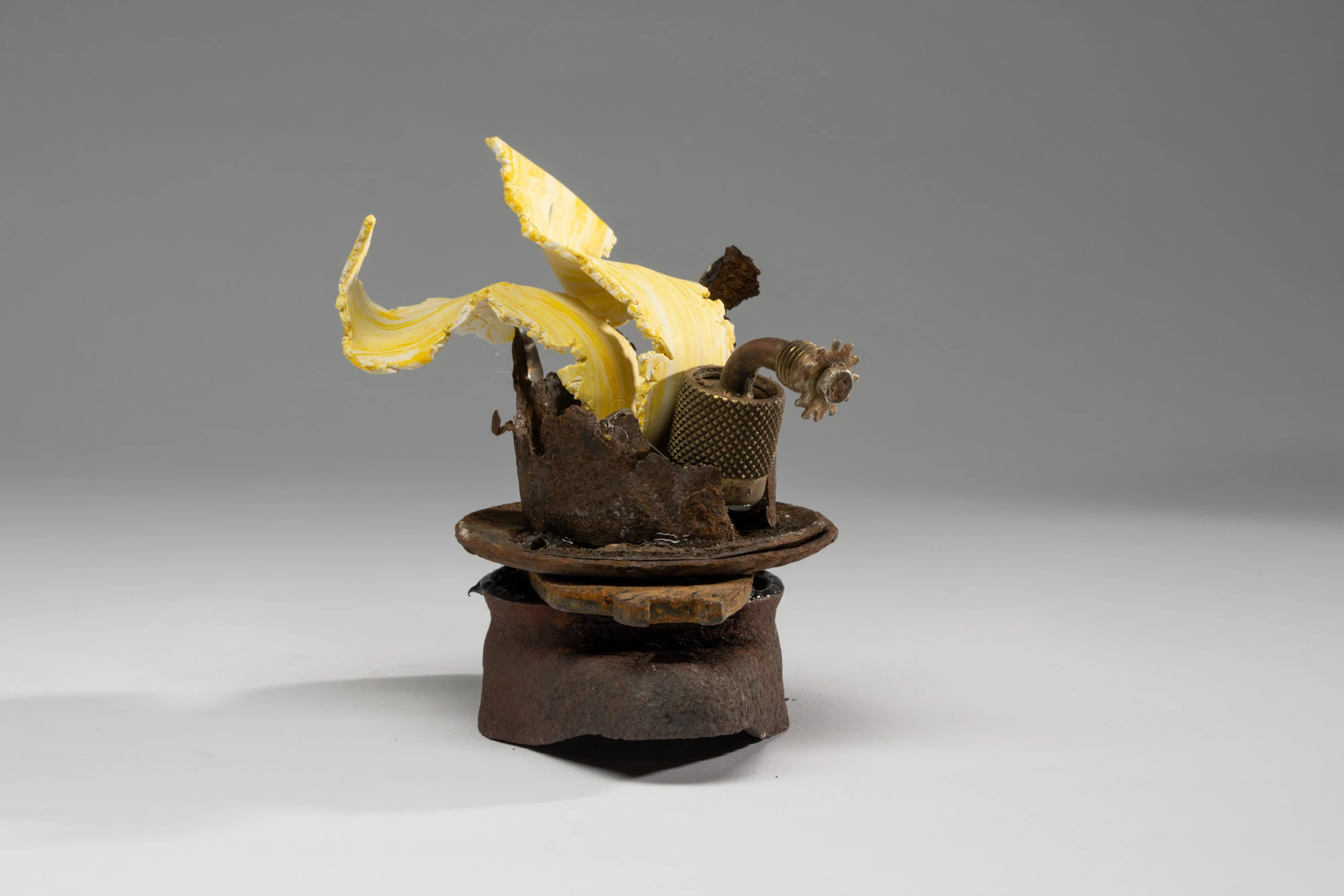 Espèce en voie d'apparition - expo 1 - 038