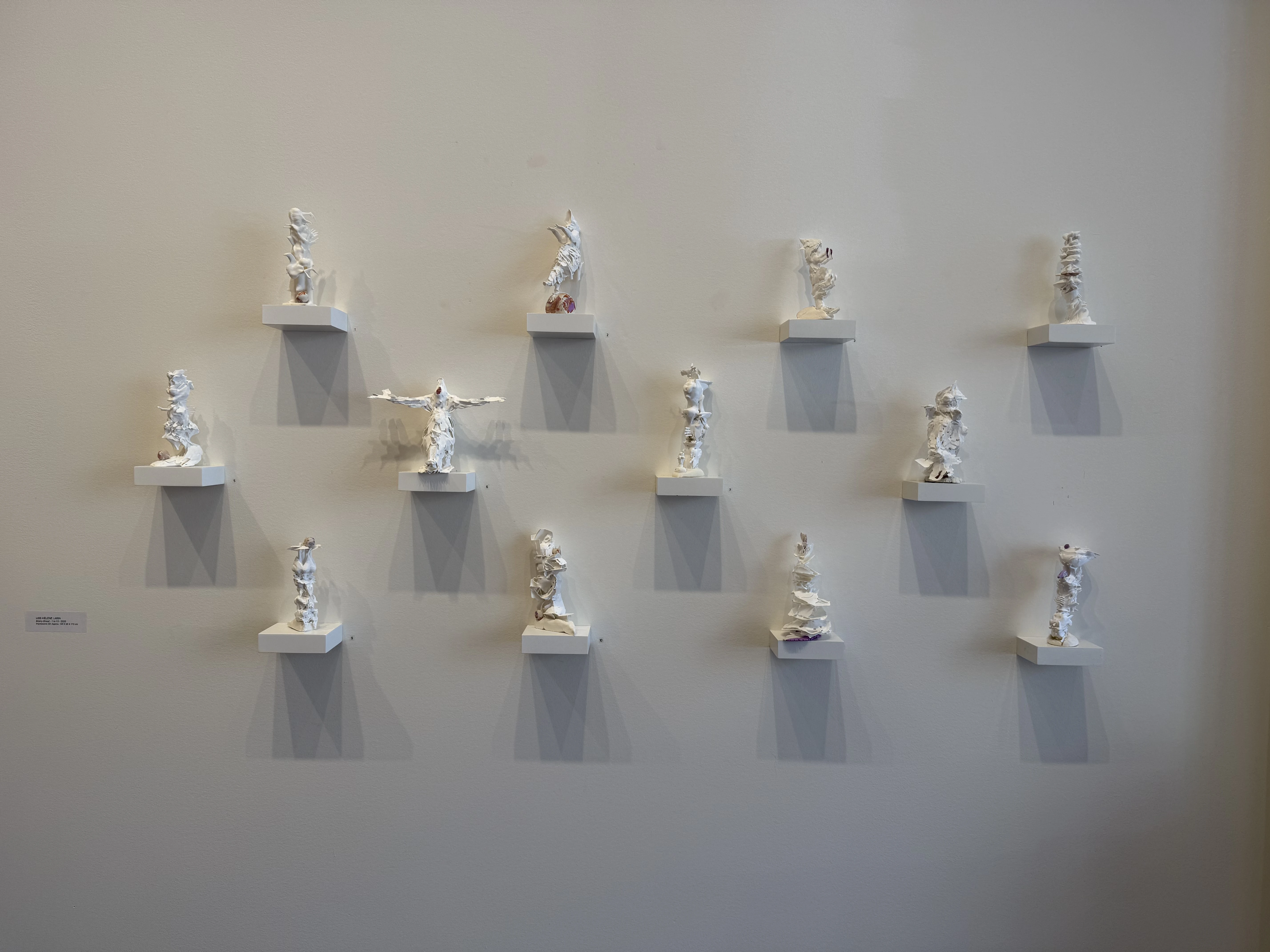 Espèce en voie d'apparition - expo 2 - 36